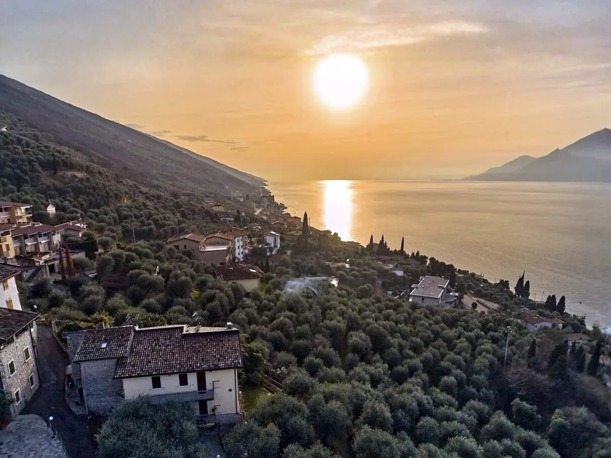 Tramonto sugli ulivi sopra il lago di Garda